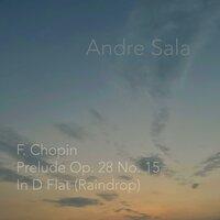 Prelude Op. 28 No. 15 In D Flat Major (Raindrop)