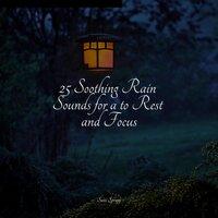 25 Soothing Rain Sounds for a to Rest and Focus