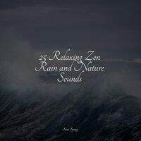 25 Relaxing Zen Rain and Nature Sounds