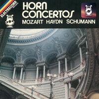 Concerto for 2 Horns in E-Flat Major, Hob. VII d:2: III. Rondo. Allegretto