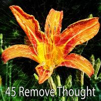45 Remove Thought