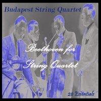 Beethoven for String Quartet