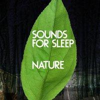 Sounds for Sleep: Nature
