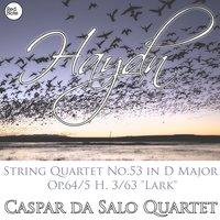 String Quartet No.53 "Lark" in D Major, Op.64/5 | H. 3/63: I. Allegro moderato