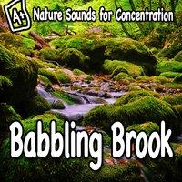 Nature Sounds for Concentration – Babbling Brook