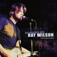 An Audience and Ray Wilson - Live Solo Album