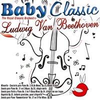 Baby Classic - Ludvi Van Beethoven