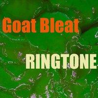 Goat Bleat Ringtone