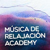 Música de Relajación Academy