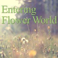 Entering Flower World
