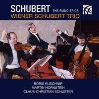 Wiener Schubert Trio