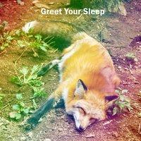 Greet Your Sleep