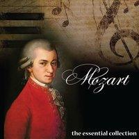 Mozart & Haydn Light Orchestra