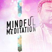 Mindful Meditaiton