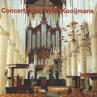 Concert door Wybe Kooijmans
