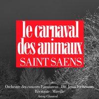Camille Saint Saens : Le carnaval des animaux