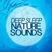 Deep Sleep Nature Sounds