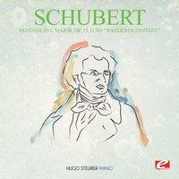 Schubert: Fantasie in C Major, Op. 15, D.760 "Wanderer Fantasy"