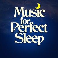 Music for Perfect Sleep