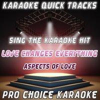 Karaoke Quick Tracks : Love Changes Everything