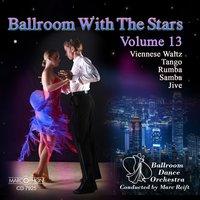 Dancing with the Stars Volume 13