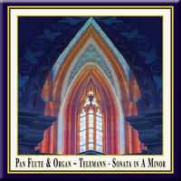 Pan Flute & Organ - Telemann: Sonata in A Minor
