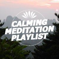 Calming Meditation Playlist
