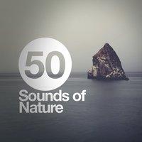 50 Sounds of Nature