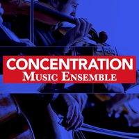 Concentration Music Ensemble