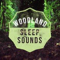 Woodland Sleep Sounds