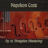 Napoleon Coste: Op. 45  Divagation (Wandering)