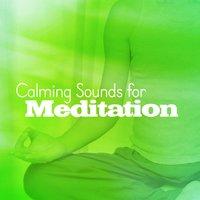 Calming Sounds for Meditation