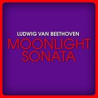 Ludwig van Beethoven: Moonlight Sonata