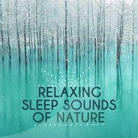 Relaxing Sleep Sounds of Nature