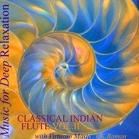 Classical Indian Flute Vol. 2 With Virtuoso Master V.K. Raman