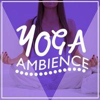 Yoga Ambience