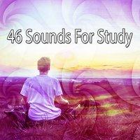 46 Sounds For Study