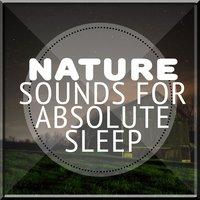 Nature Sounds for Absolute Sleep