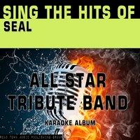 Sing the Hits of Seal