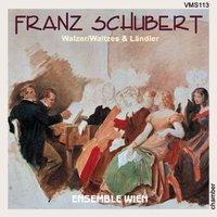 Franz Schubert: Walzer & Ländler