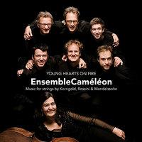 Young Hearts on Fire - Music for strings by Korngold, Rossini & Mendelssohn