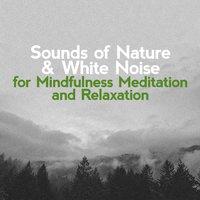 Sounds of Nature & White Noise for Mindfulness Meditation and Relaxation