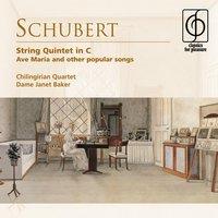 String Quintet in C D956: I.       Allegro ma non troppo