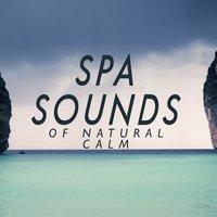 Spa Sounds of Natural Calm