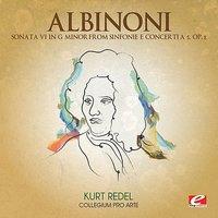 Albinoni: Sonata VI in G Minor from Sinfonie e Concerti a 5, Op. 2