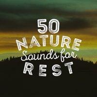 50 Nature Sounds for Rest