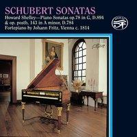 Schubert: Sonatas on Fritz Viennese Fortepiano