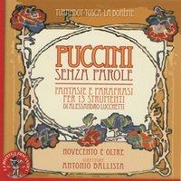 Lucchetti & Puccini : Fantasie e parafrasi per 13 instrumenti