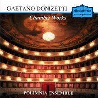 Gaetano Donizetti: Chamber Works