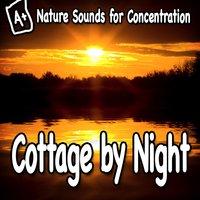 Nature Sounds for Concentration – Cottage by Night